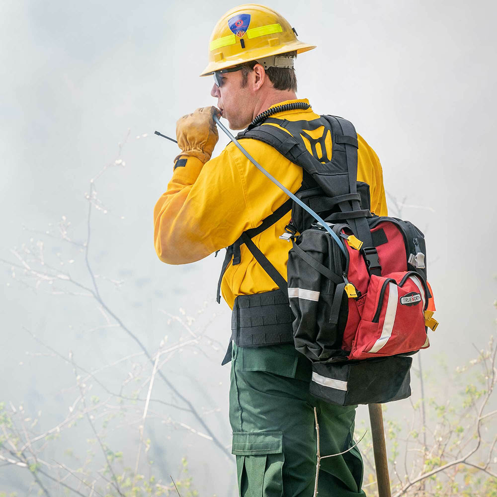 True top north backpack